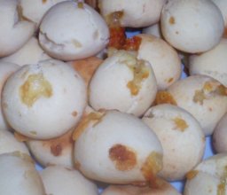 chipacitos